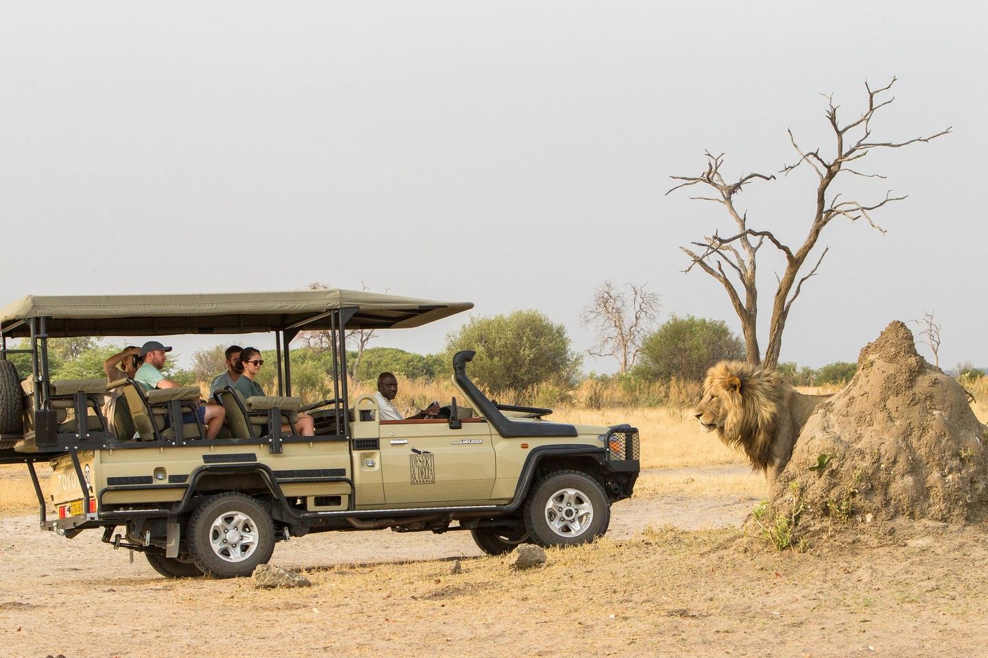 3 Days Chobe National Park Safari