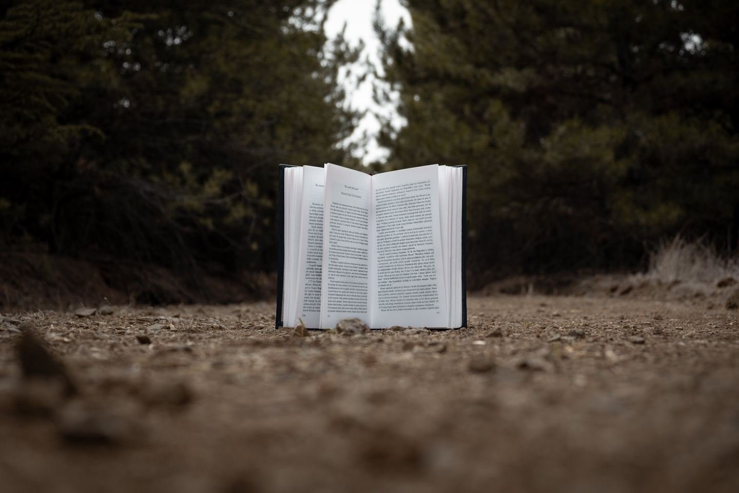 Book Club (January - February)