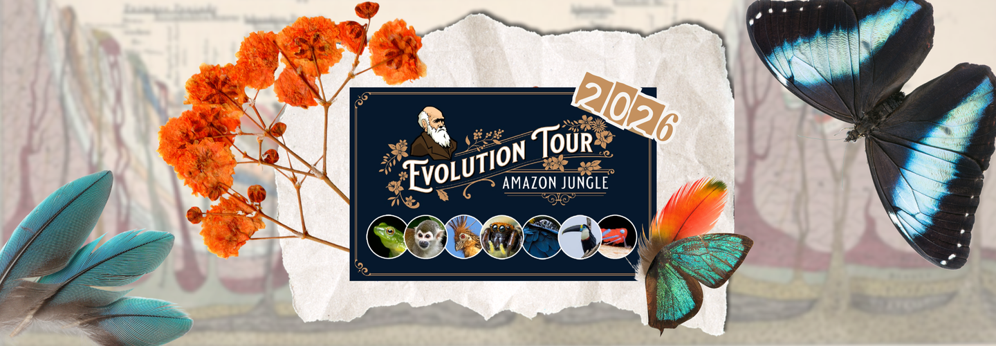 EvoTour 2026