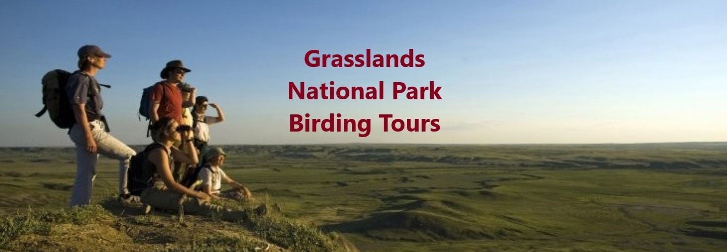 Grasslands National Park Birding Tours - Canada