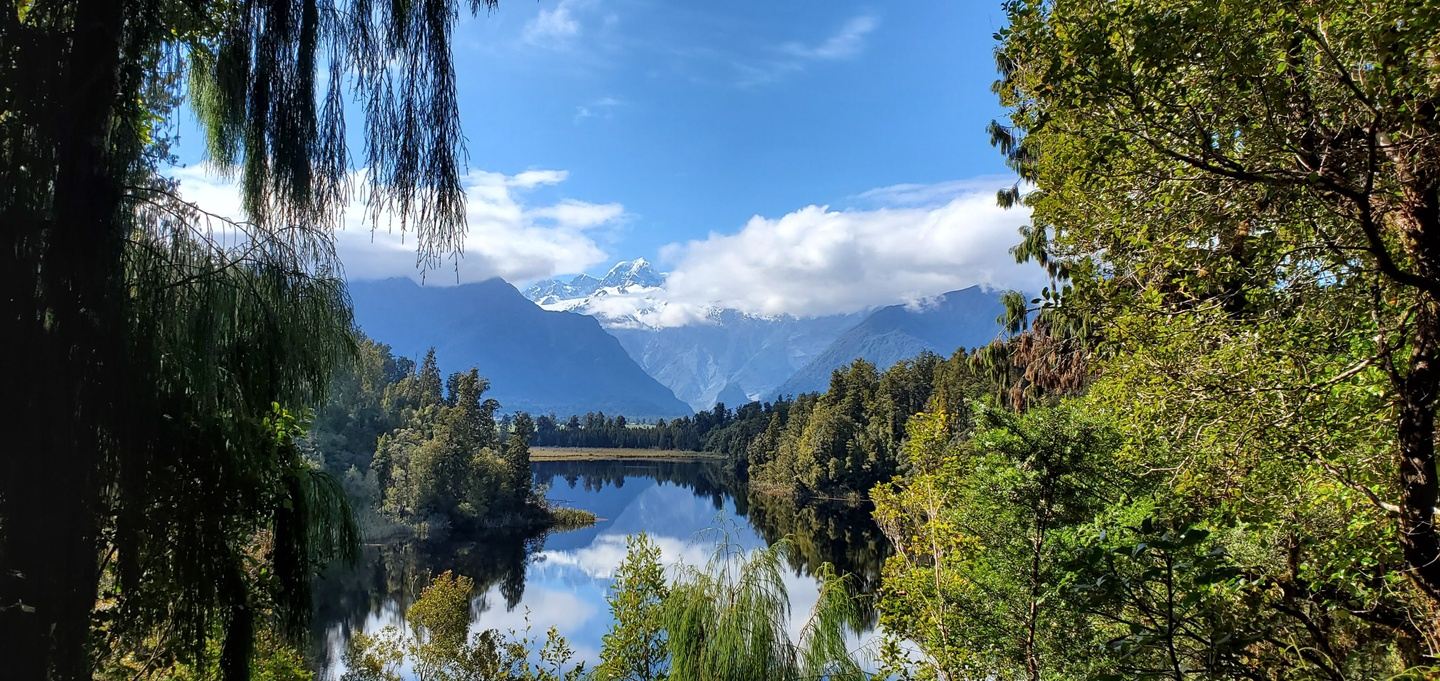 The Great Escape: A New Zealand Odyssey with Healthcare Escapes
