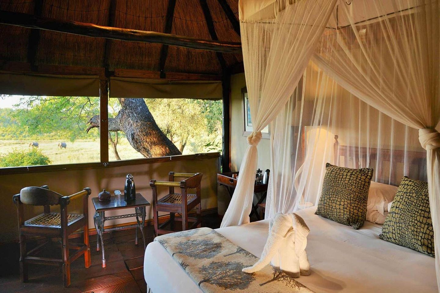 4 Day Ivory Safari Lodge
