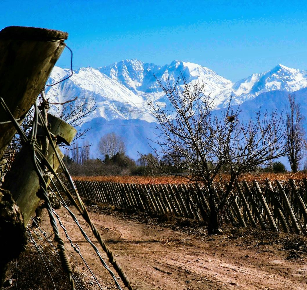 Argentina Adventure - Wine, Waterfalls, & Amazing Women