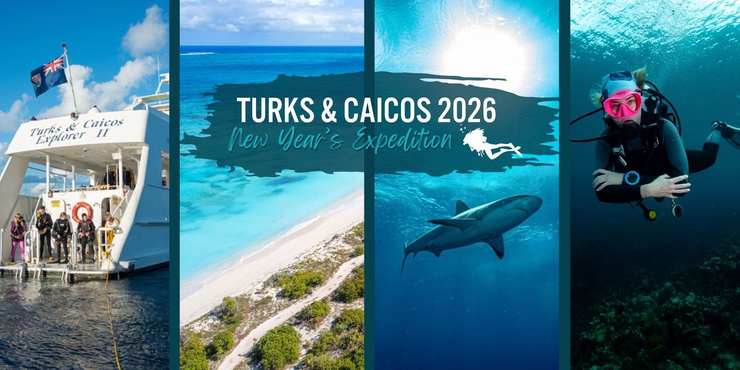 Turks & Caicos New Year's Expedition 2026