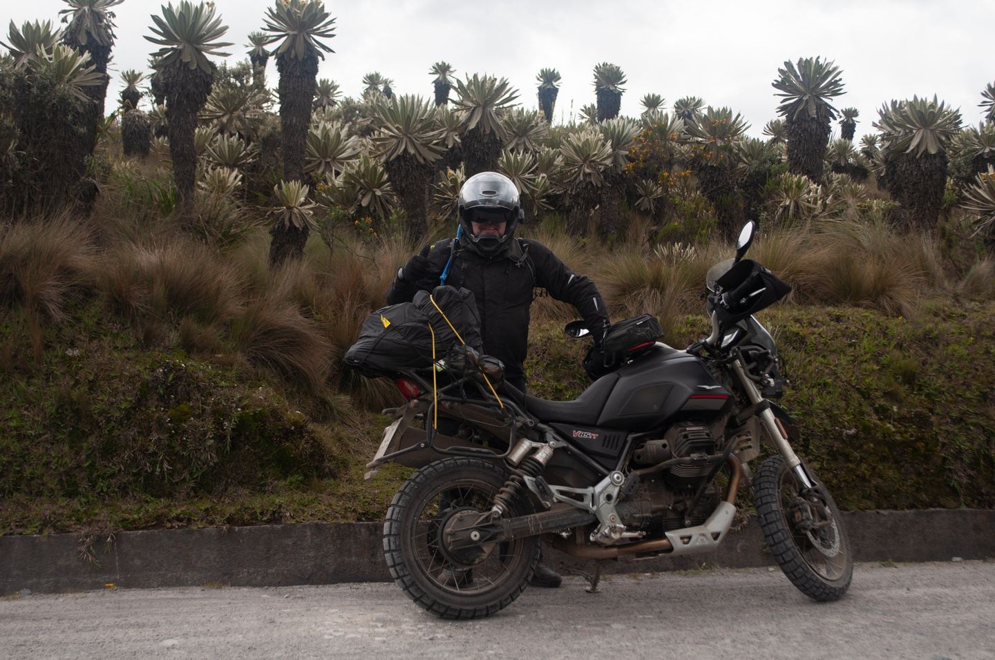 Northern Ecuador Uncovered