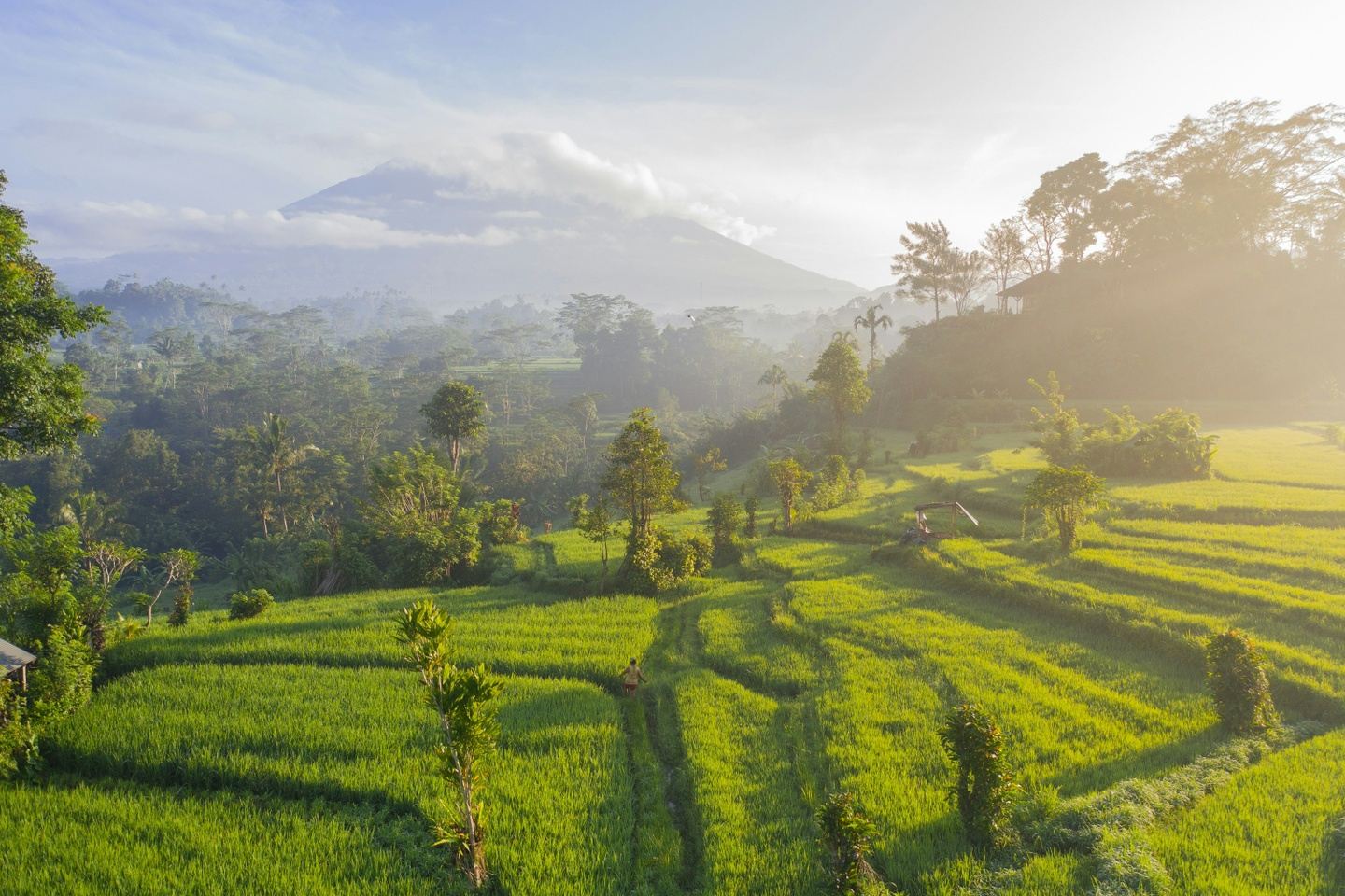 BALI 300hr Teacher Training - UBUD