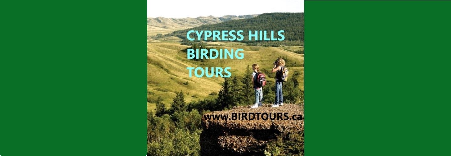 Cypress Hills 4-day Birding Tours - Saskatchewan, Canada