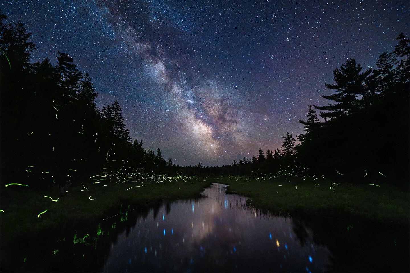 Mastering the Night Sky | Astrophotography Workshop