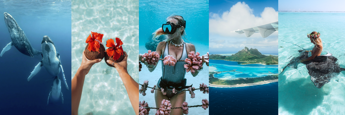 SALTY LUXE - Moorea Whale & Ocean Expedition