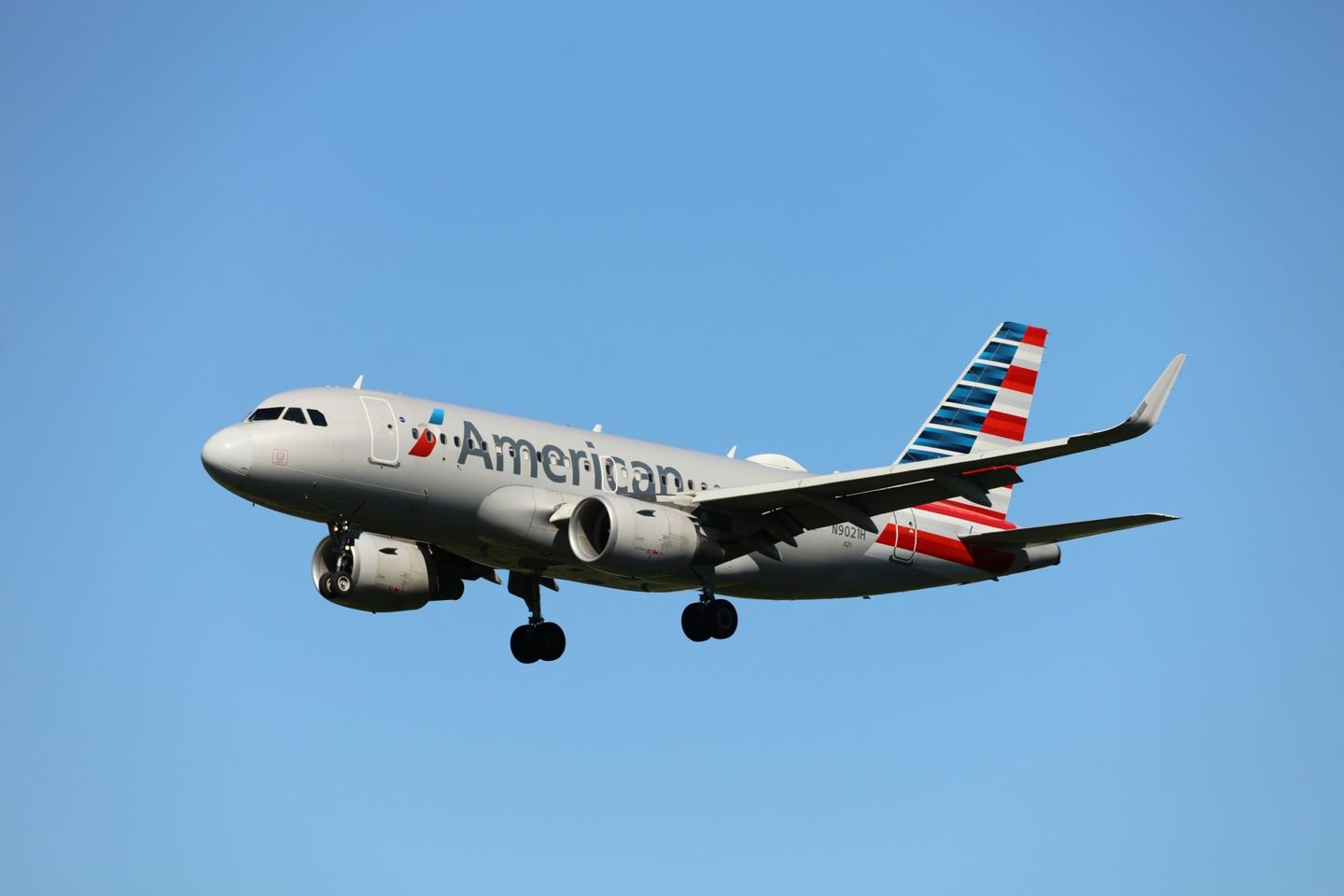American Airline Flight