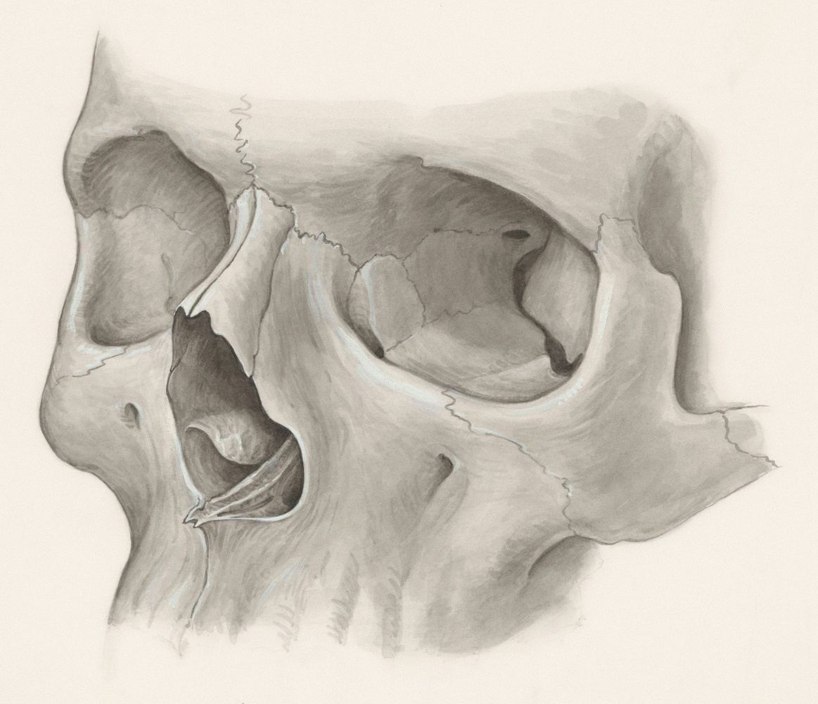 VCSW C1: The Foundational Craniosacral Class