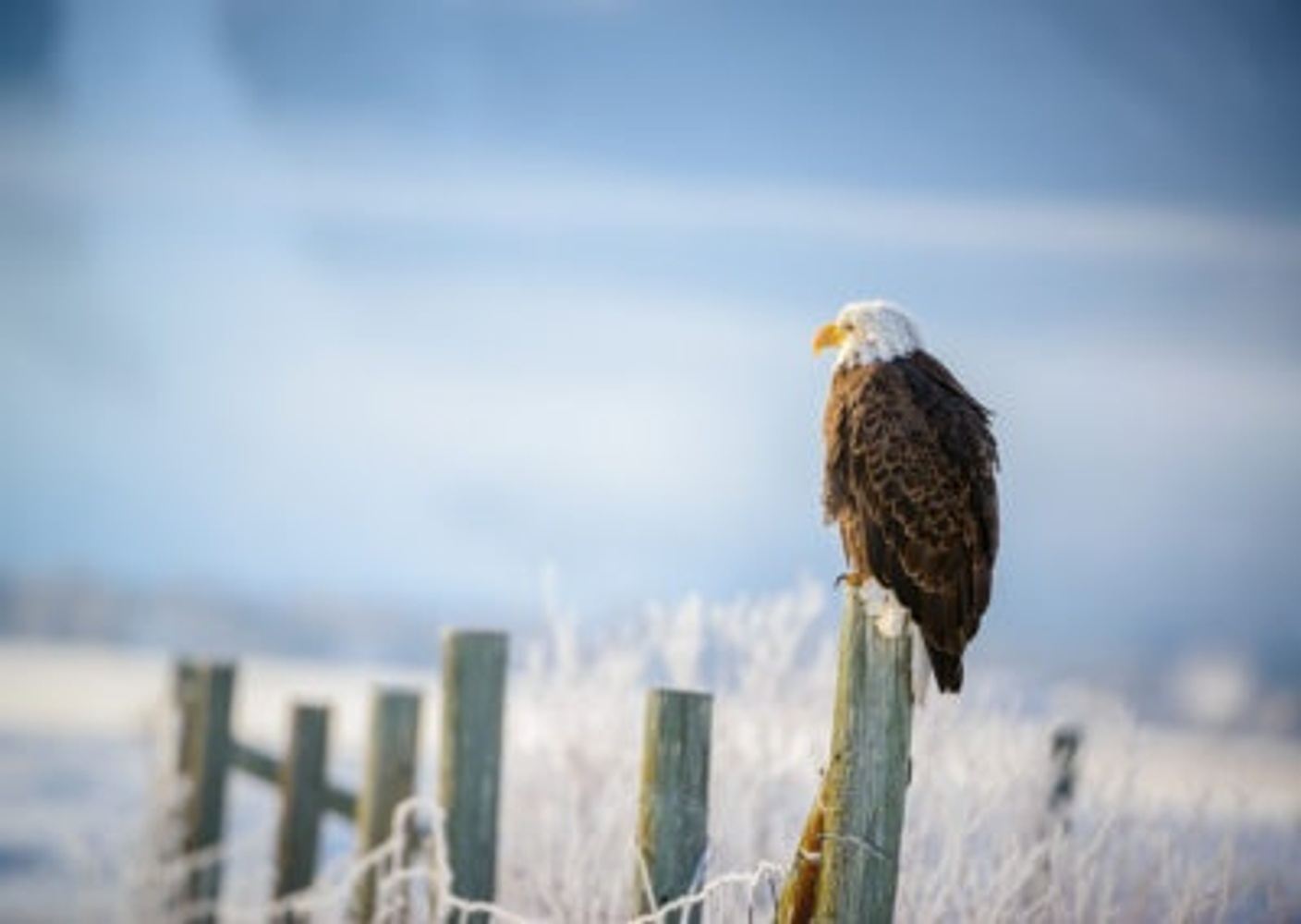 PRIVATE 2-DAY GRAND TETON & YELLOWSTONE NATIONAL PARK