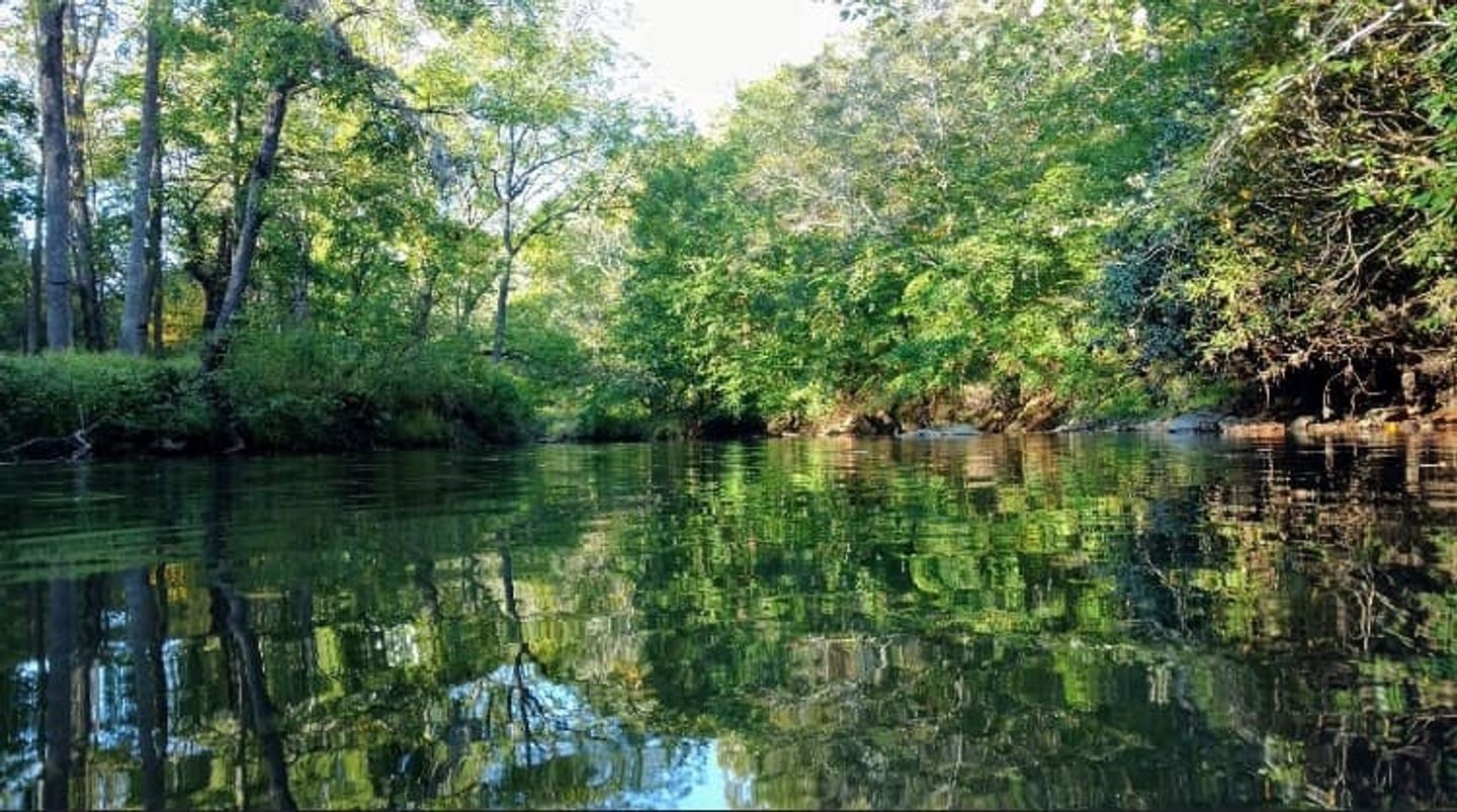 The Art of Deep Rest — a nervous system reset in the Appalachians