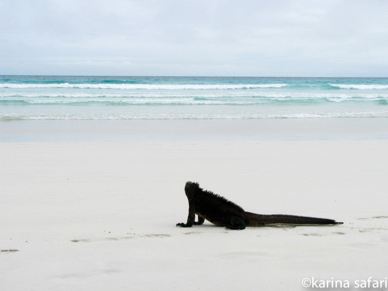 Ecuador & Galápagos: A Family Adventure of a Lifetime