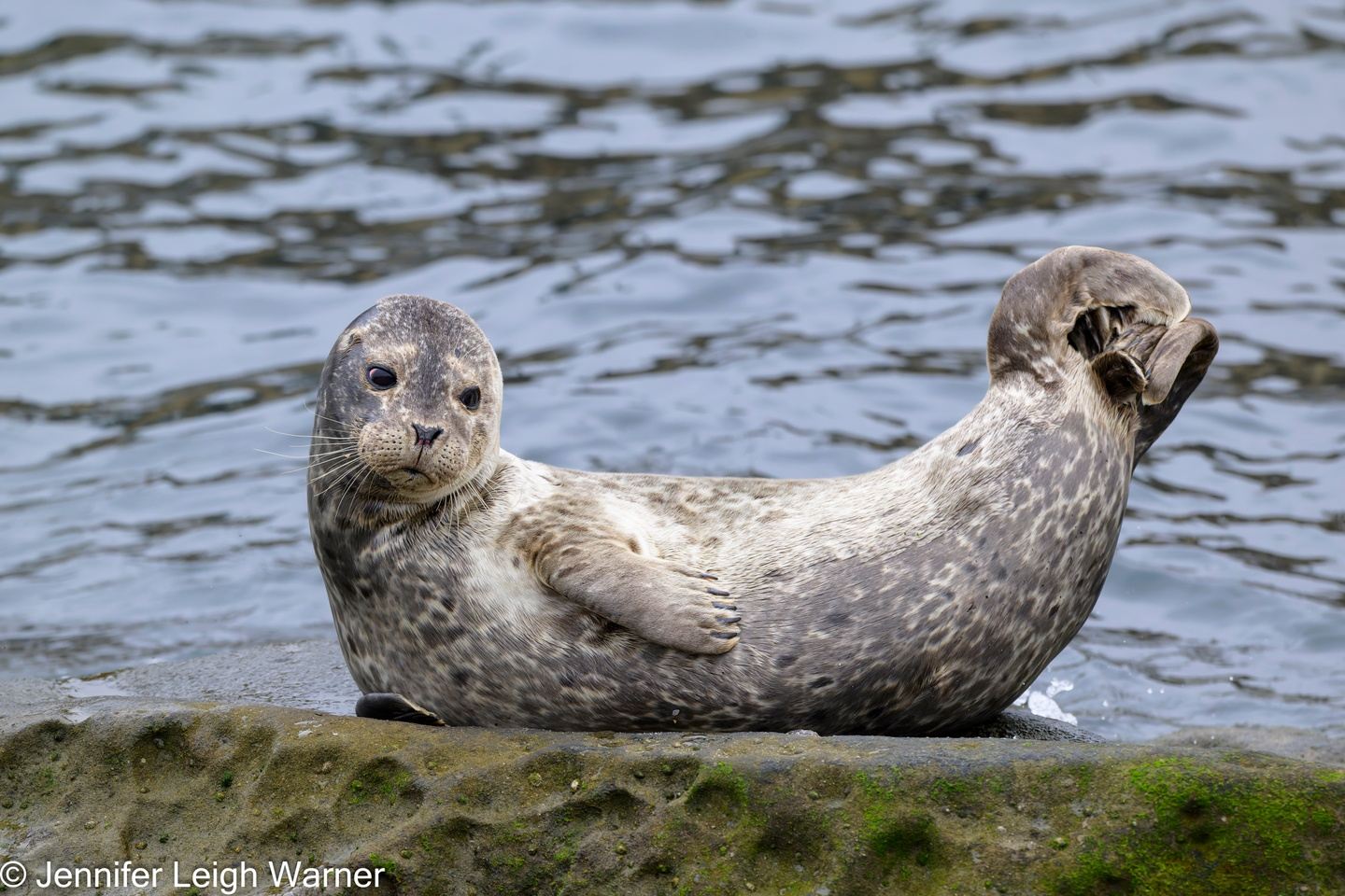 Private San Diego Photo Tour