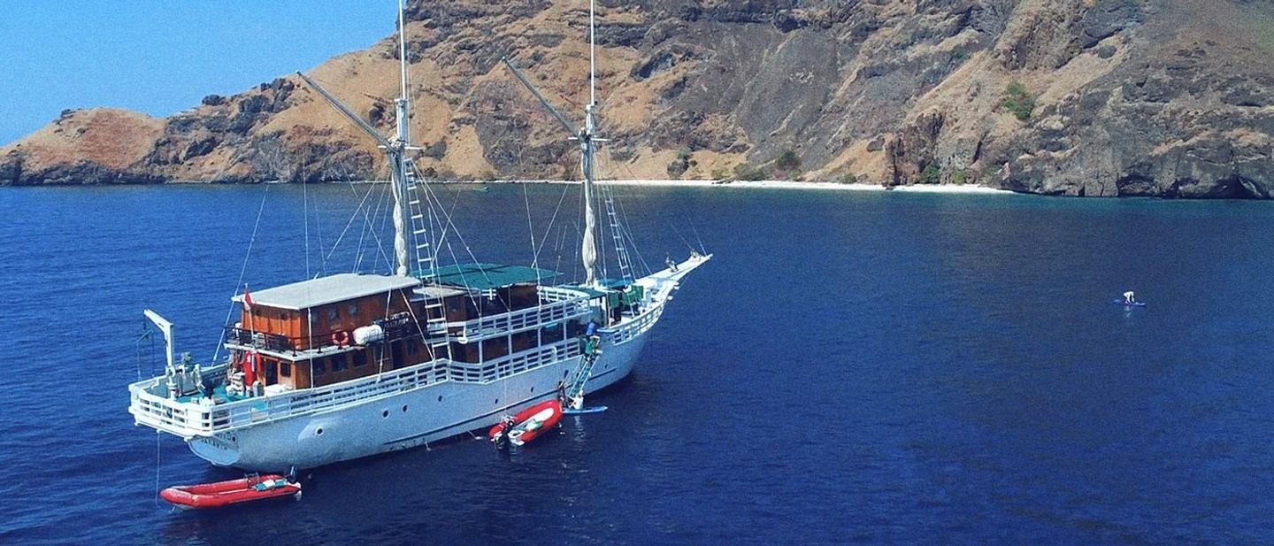 Raja Ampat, Ambon, and Snorkel with Whales Expedition