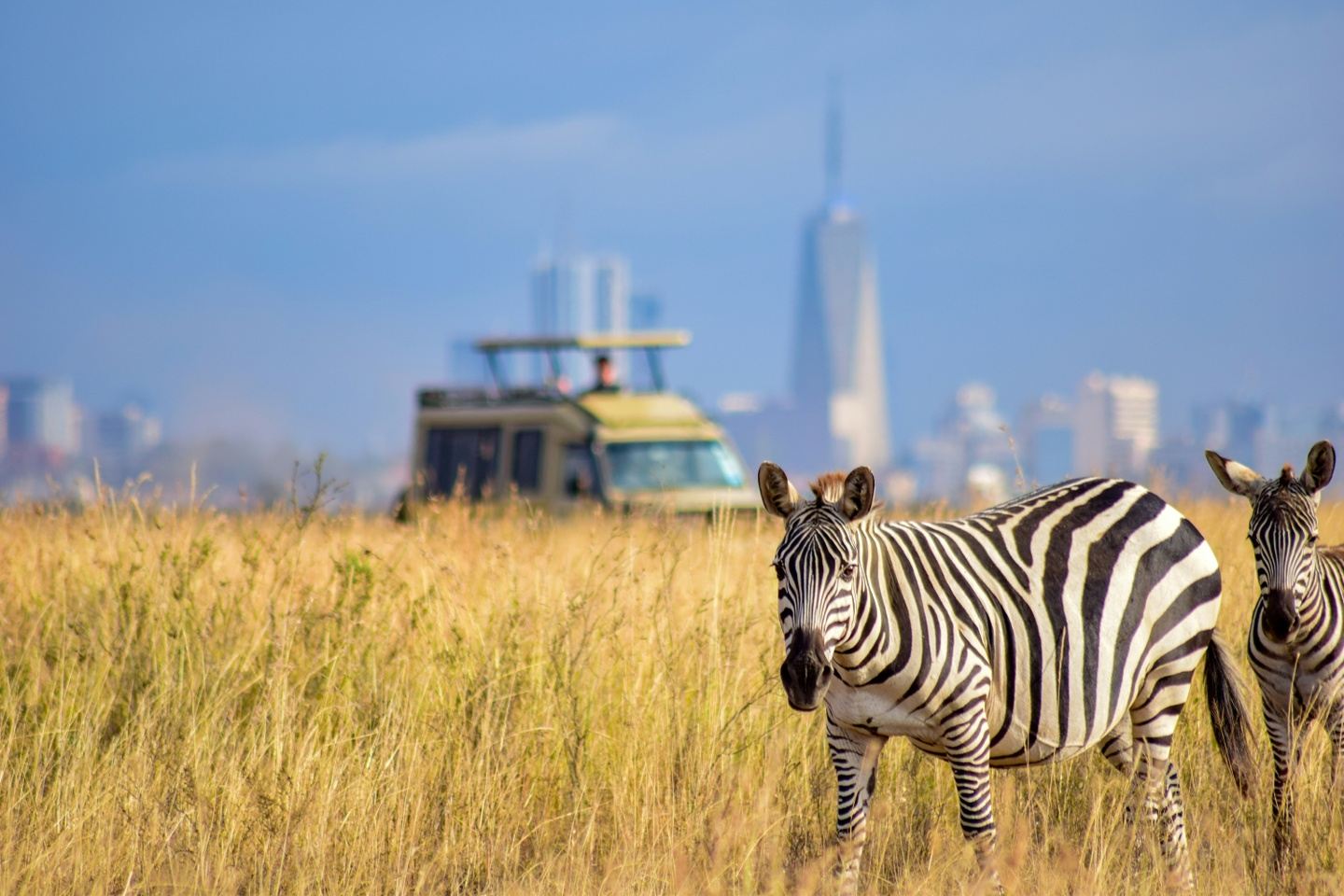 Nairobi National Park Day Trip