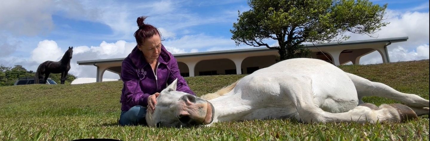 Heart Frequency Healing with Horses in Costa Rica