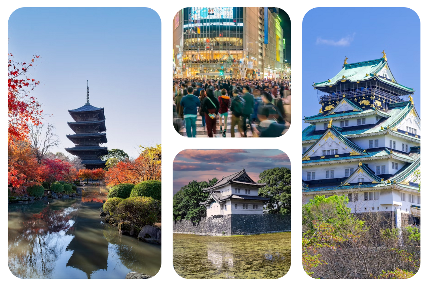 15-Day Japan Anime Adventure