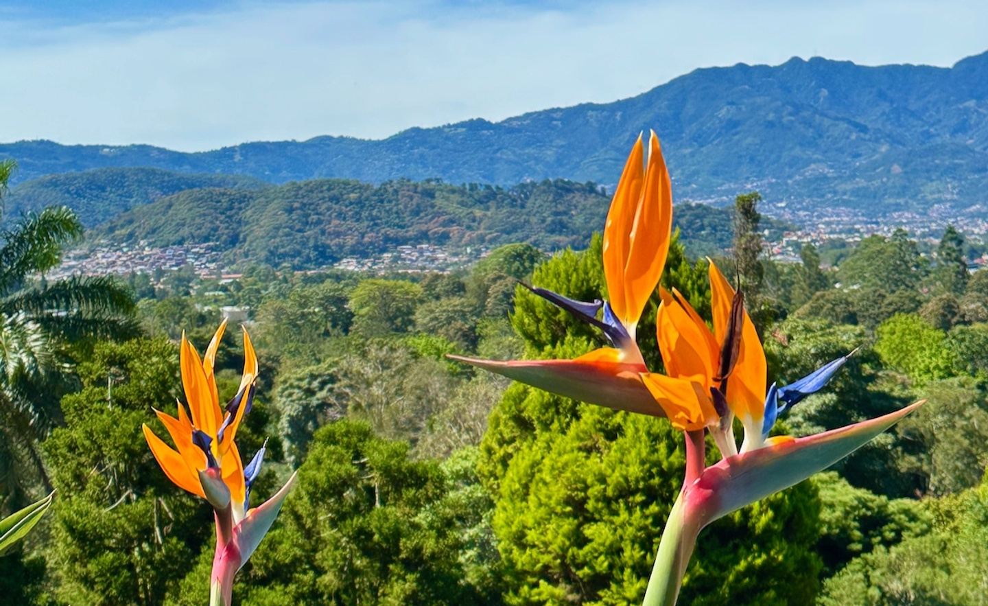 Discover Costa Rica Gardens with Jana Milbocker
