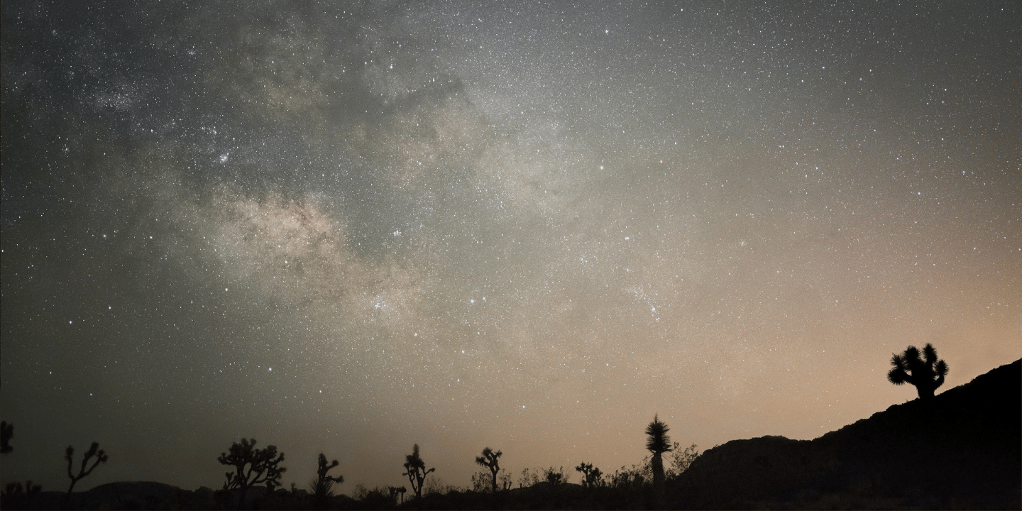 The Desert Reset / Nervous System Retreat
