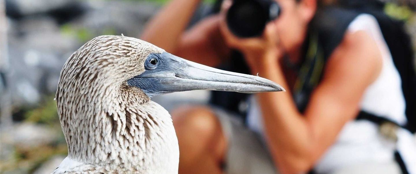 4 DAY - GALAPAGOS ALTERNATIVE - SUPERIOR - SMART25