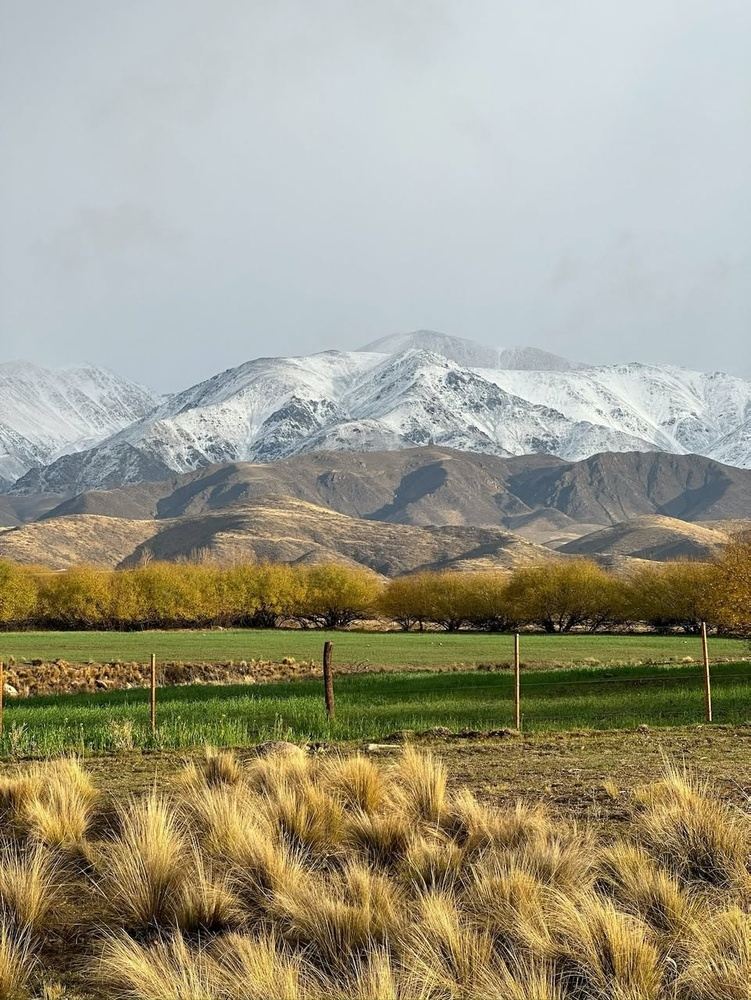 Wineries and Riding in the Mountains in Mendoza (March)