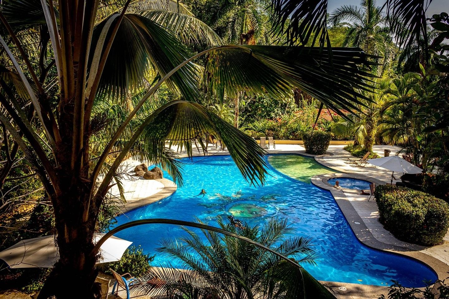 Hot Yoga Retreat- Costa Rica