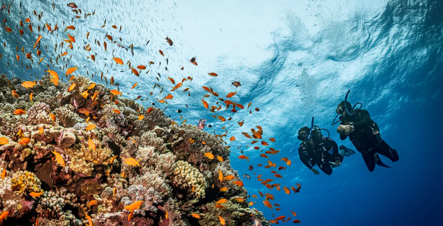Red Sea & Egypt – July 2026