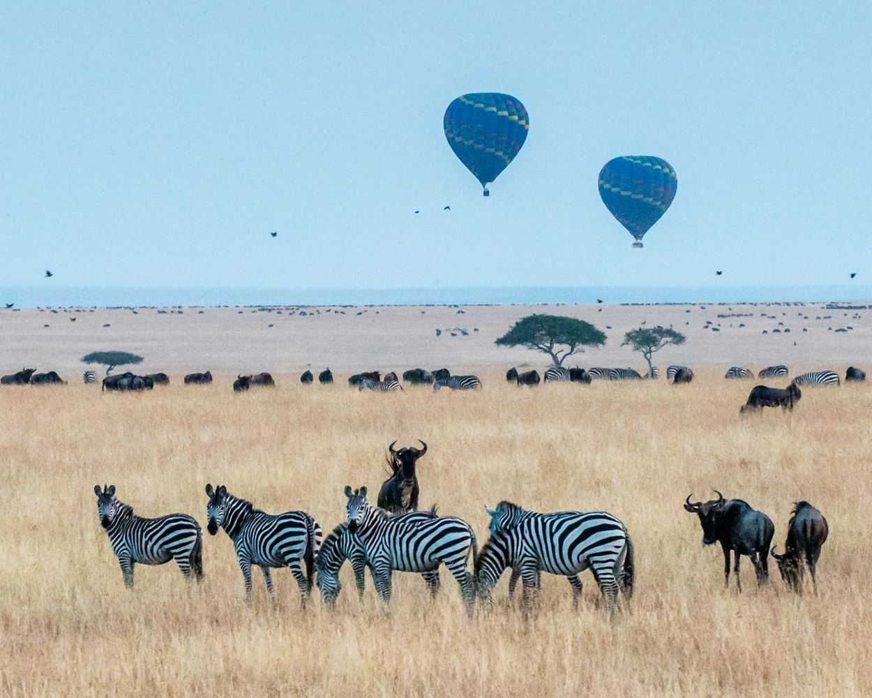 11 DAYS KENYAN CLASSIC SOUTHERN SAFARI