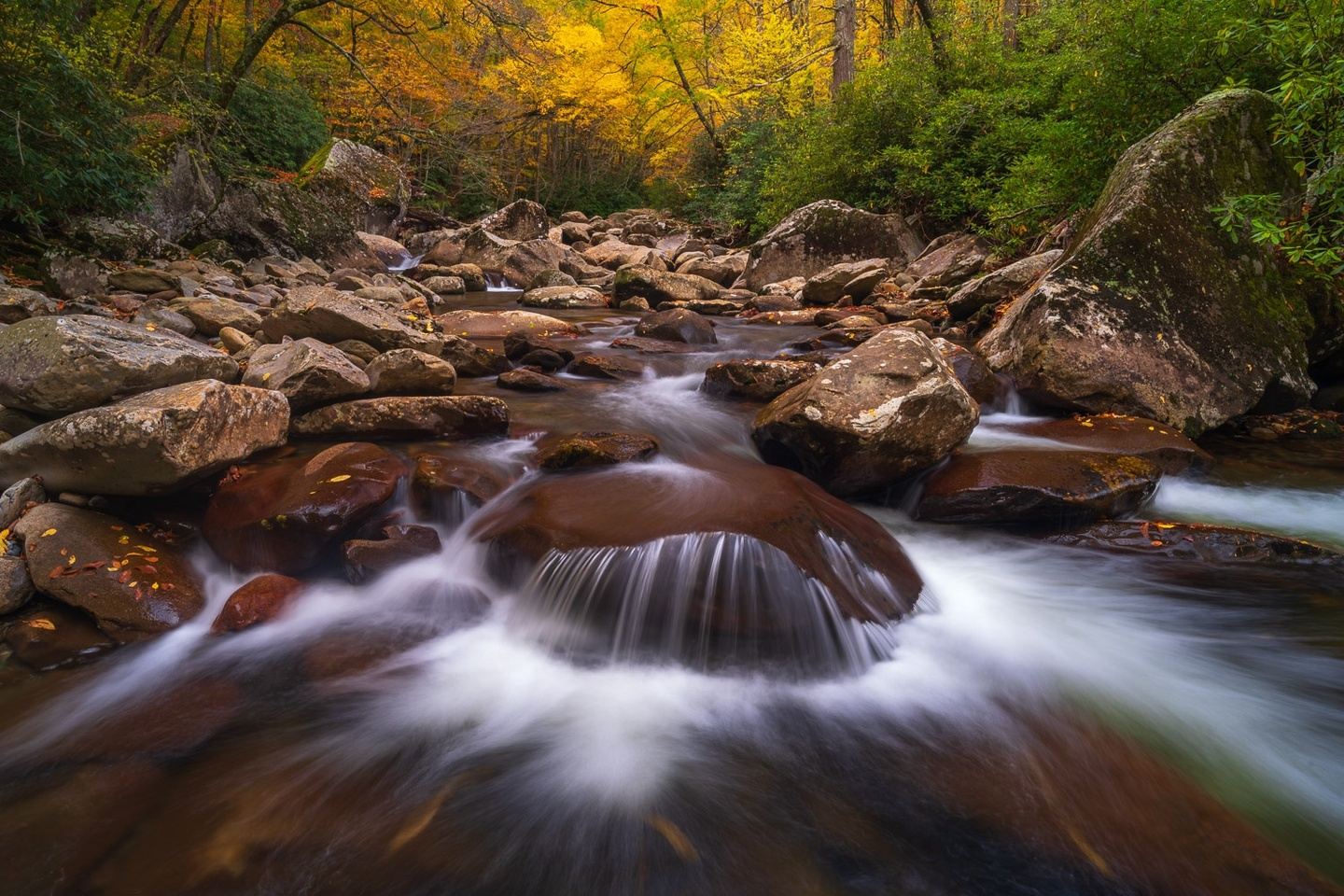 Autumn in the Great Smoky Mountains