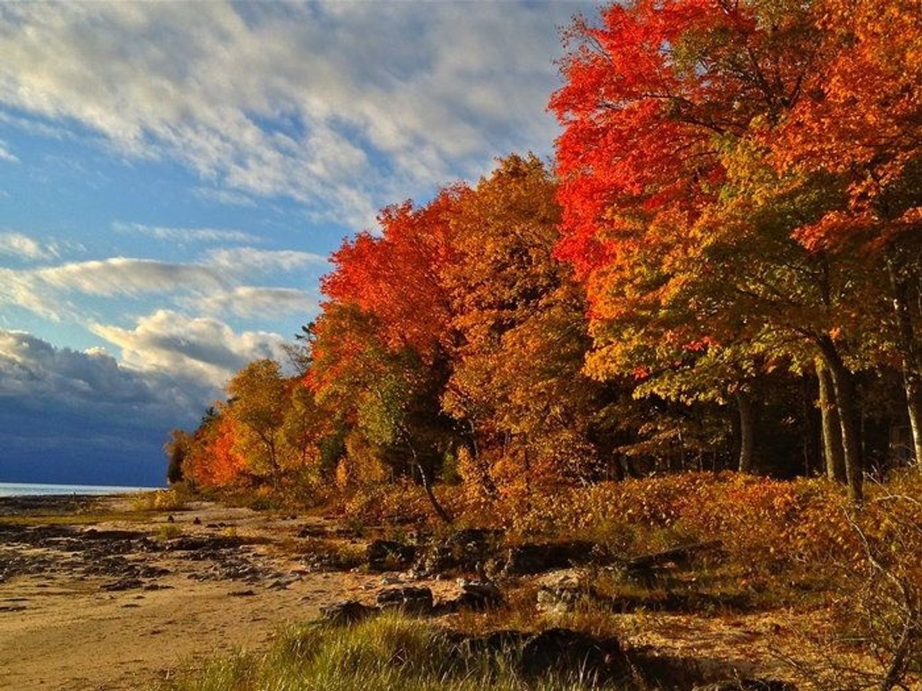 Door County- Beautiful Fall Foliage in Door County