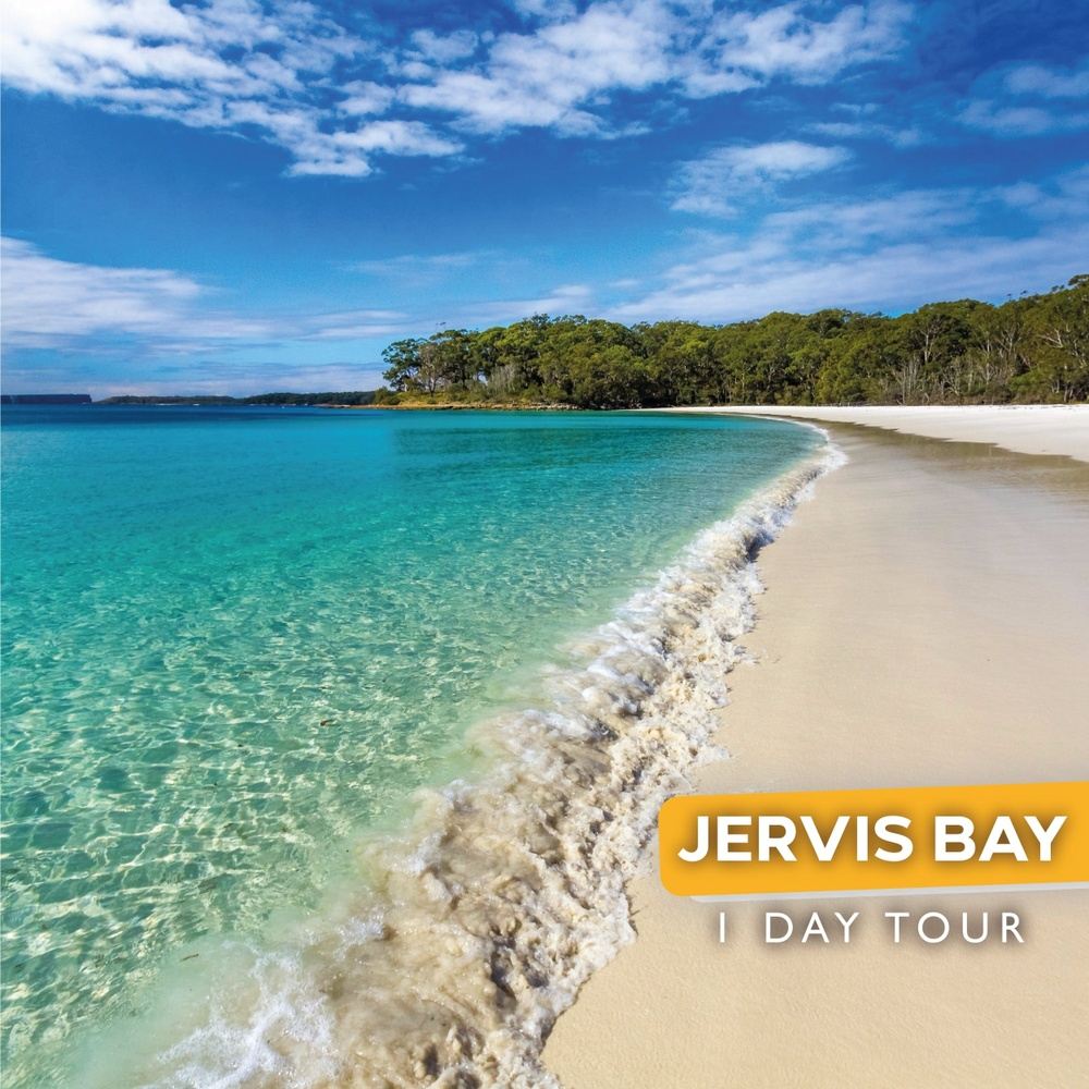 Jervis Bay & Dolphins Cruise