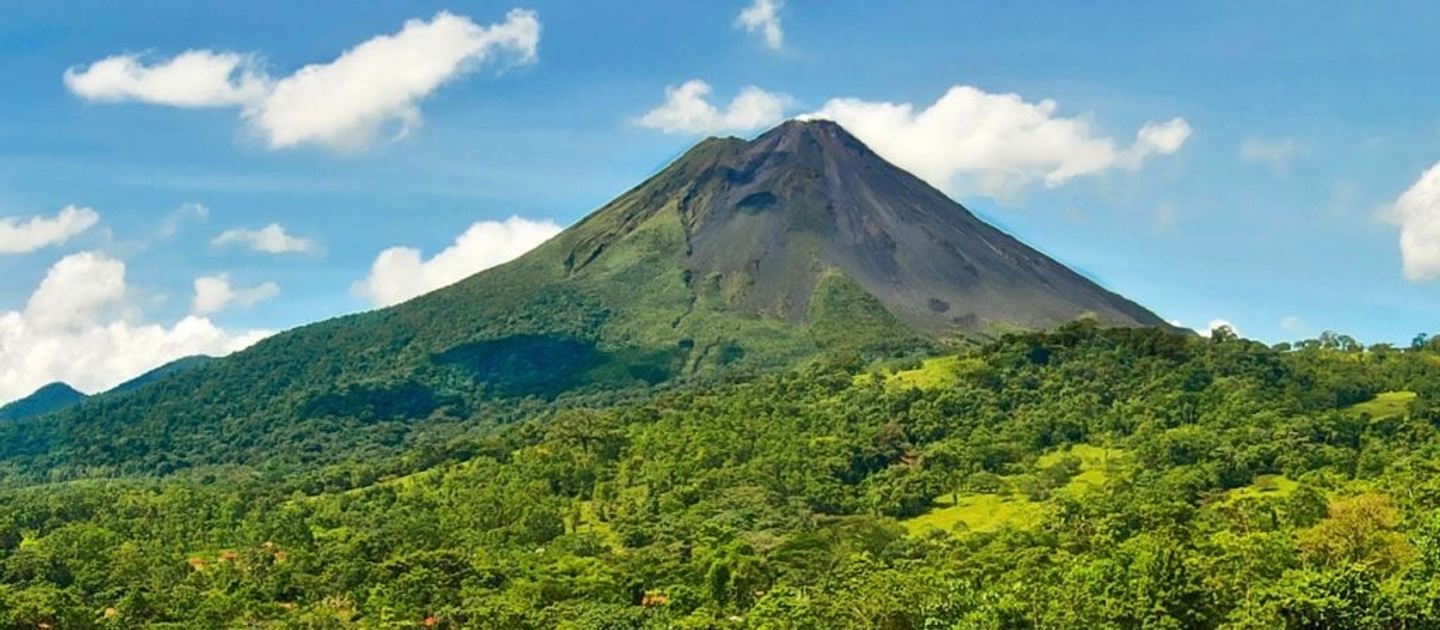 Pura Vida Flavors
