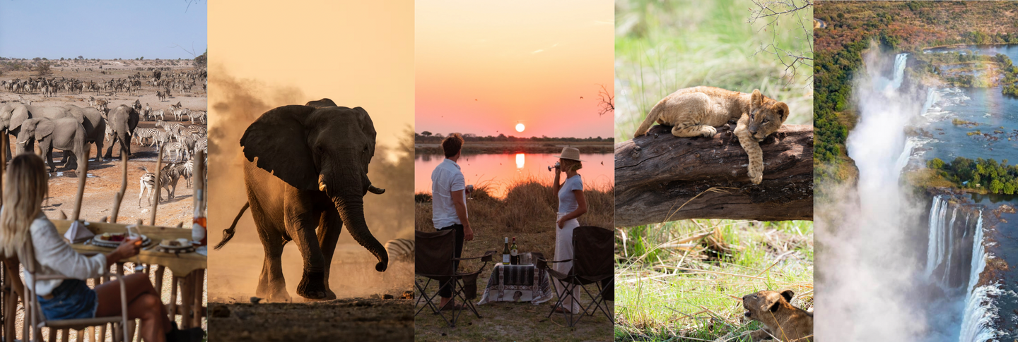 SALTY LUXE - Botswana + Zimbabwe Safari  Expedition