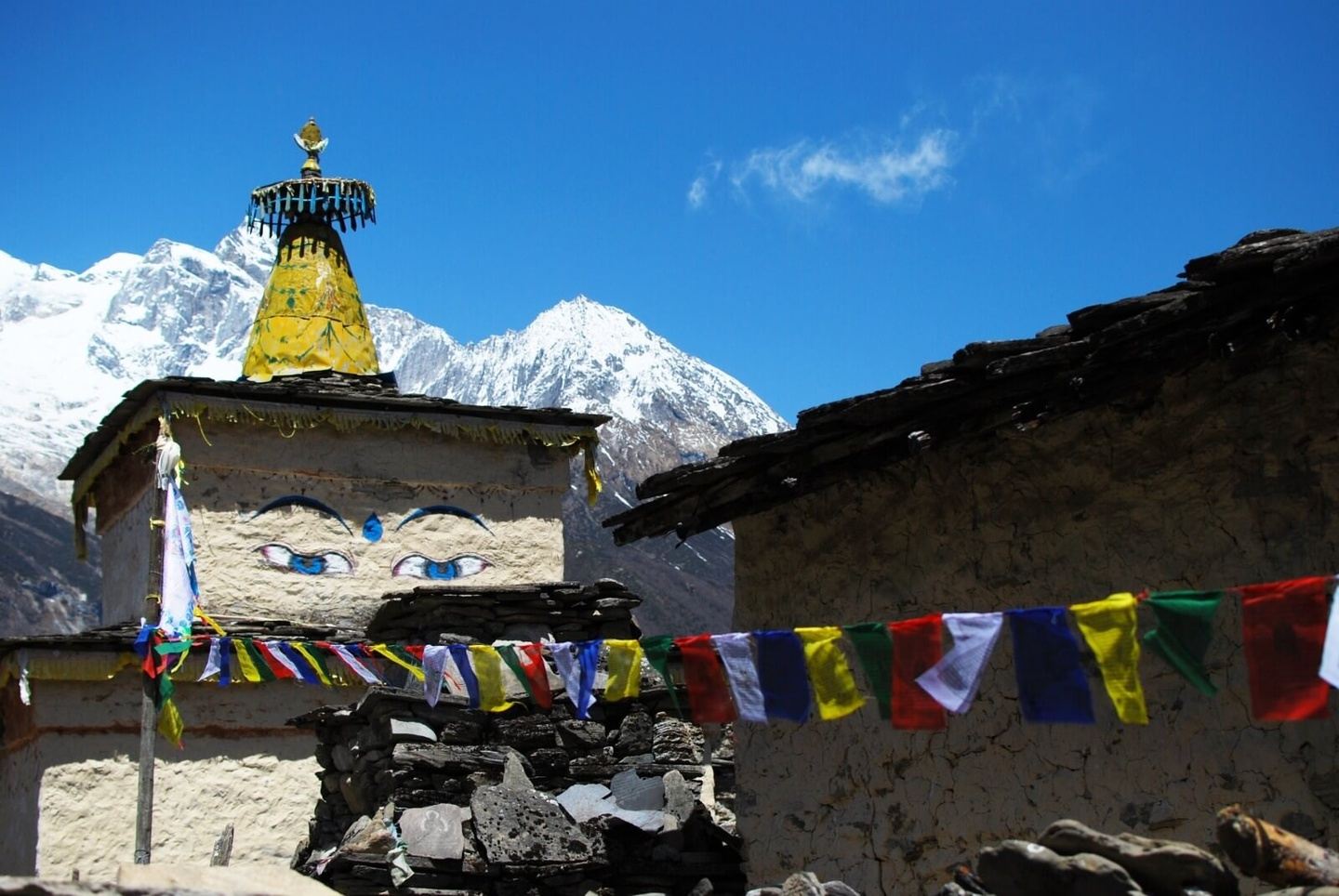 Manaslu and Annapurna Circuit Trek