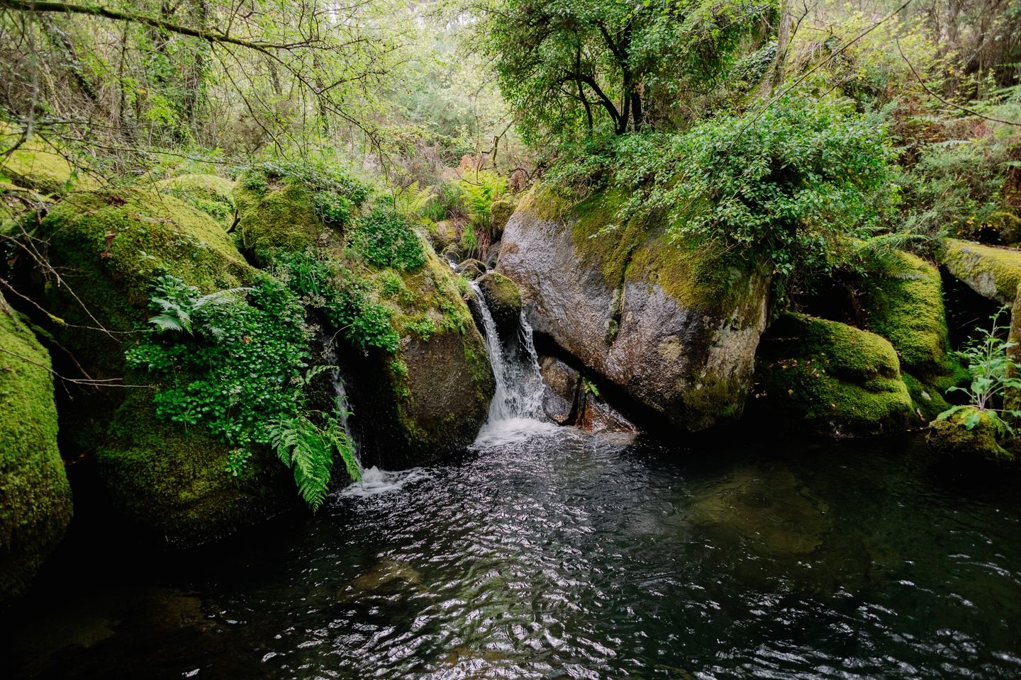 Portugal Yoga and Adventure Retreat