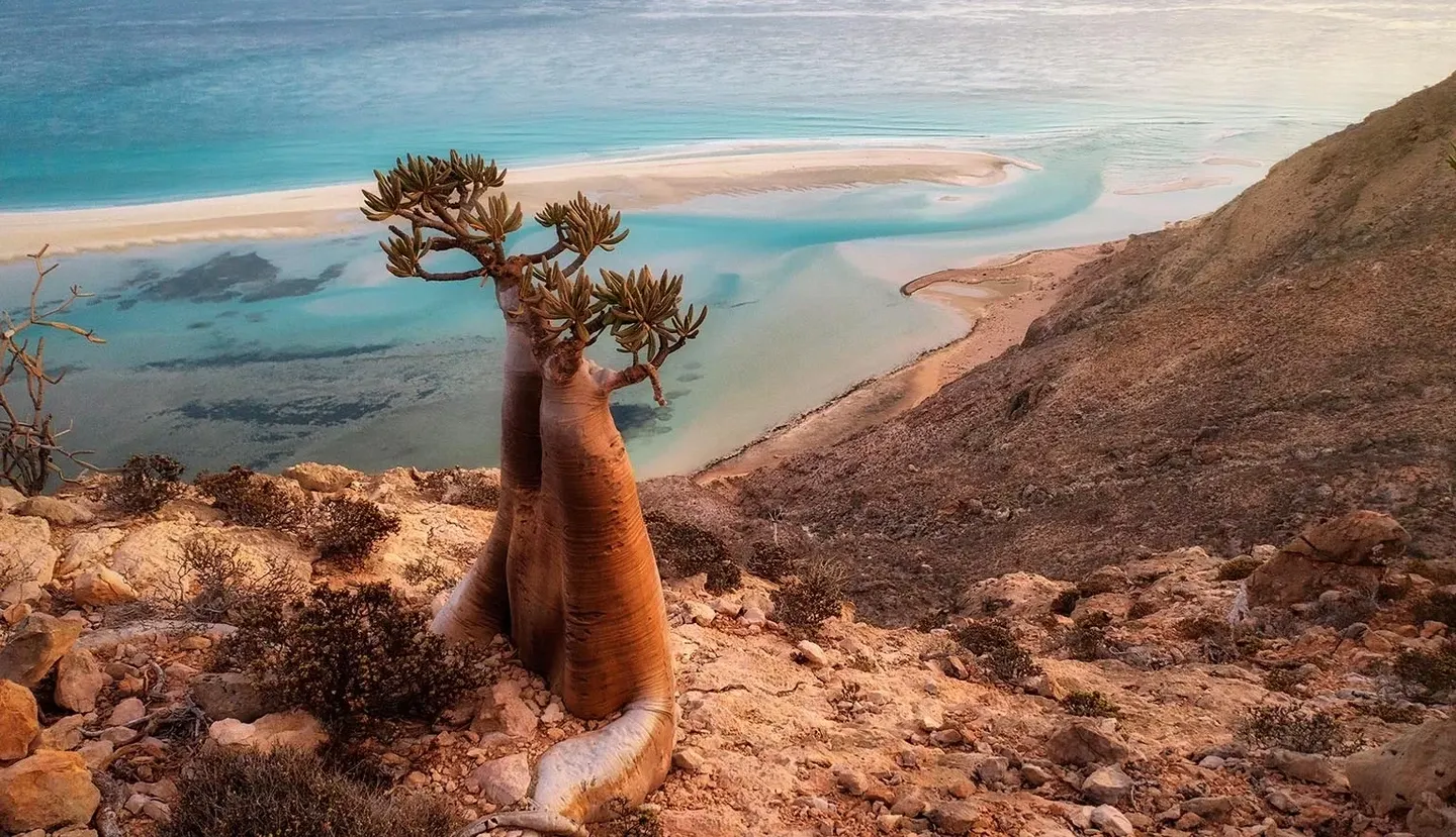 Socotra Camping Adventure