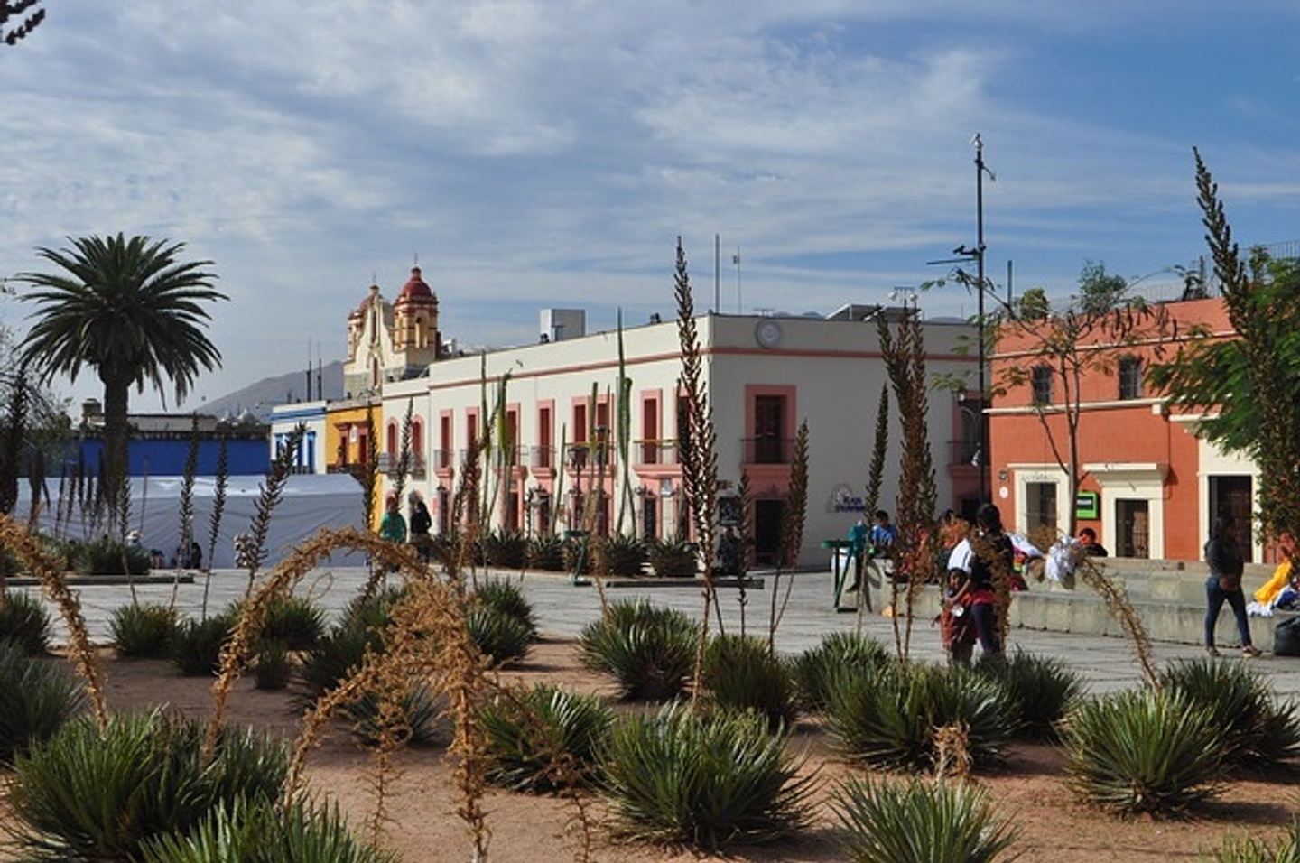 OAXACA COMPLETO