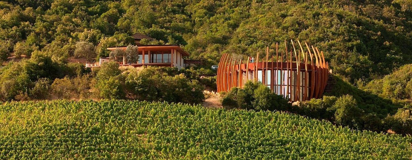 Chile: Wine Touring in the Region That Inspires You Most!