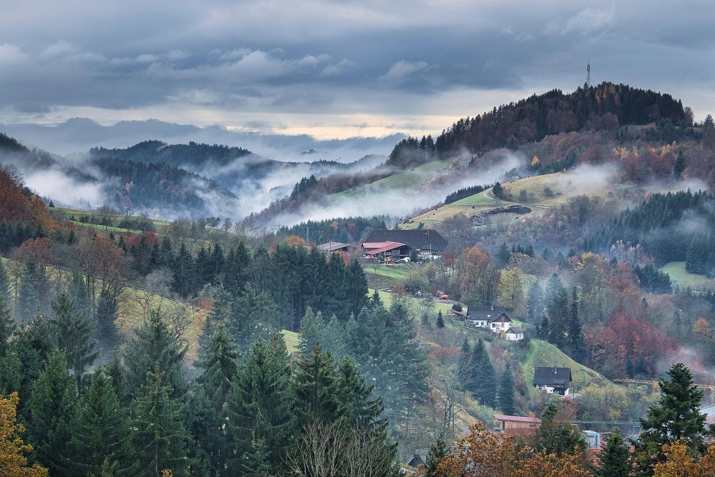 ALEMANIA Y VIENA