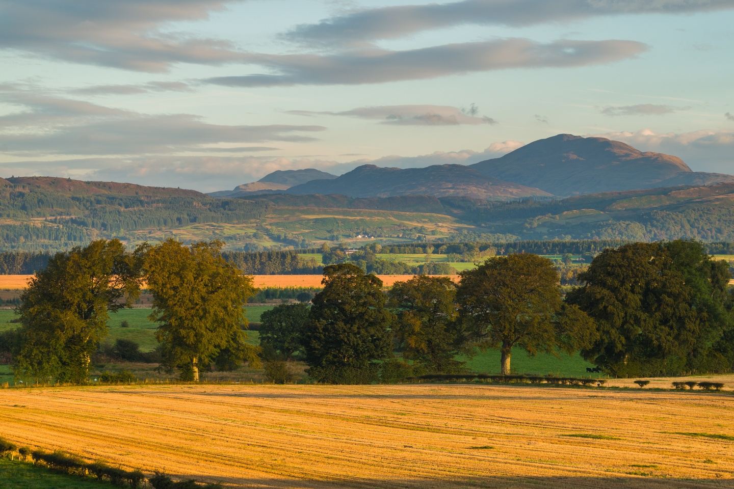 200 Hour Yoga Teacher Training in Scotland