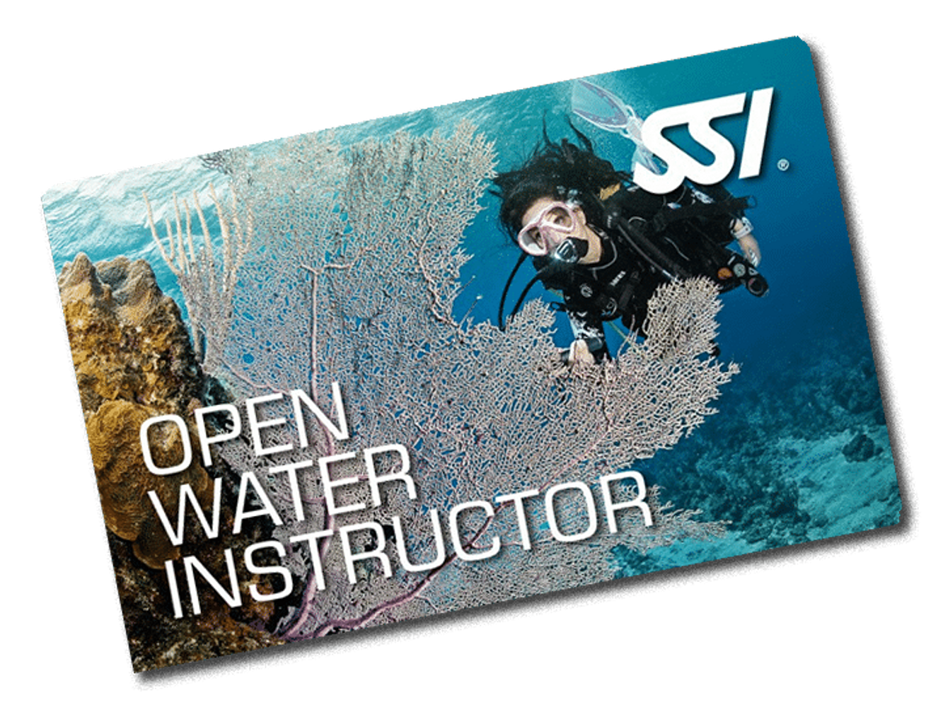 Assistant Instructor SSI  / Instructor SSI / Examen IE