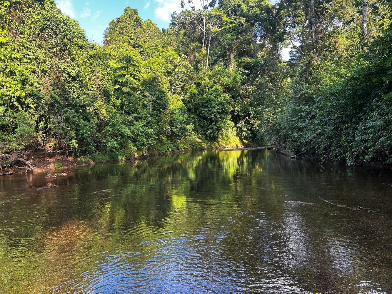 Family farm Tour at RioAgujitasFarm and jungle