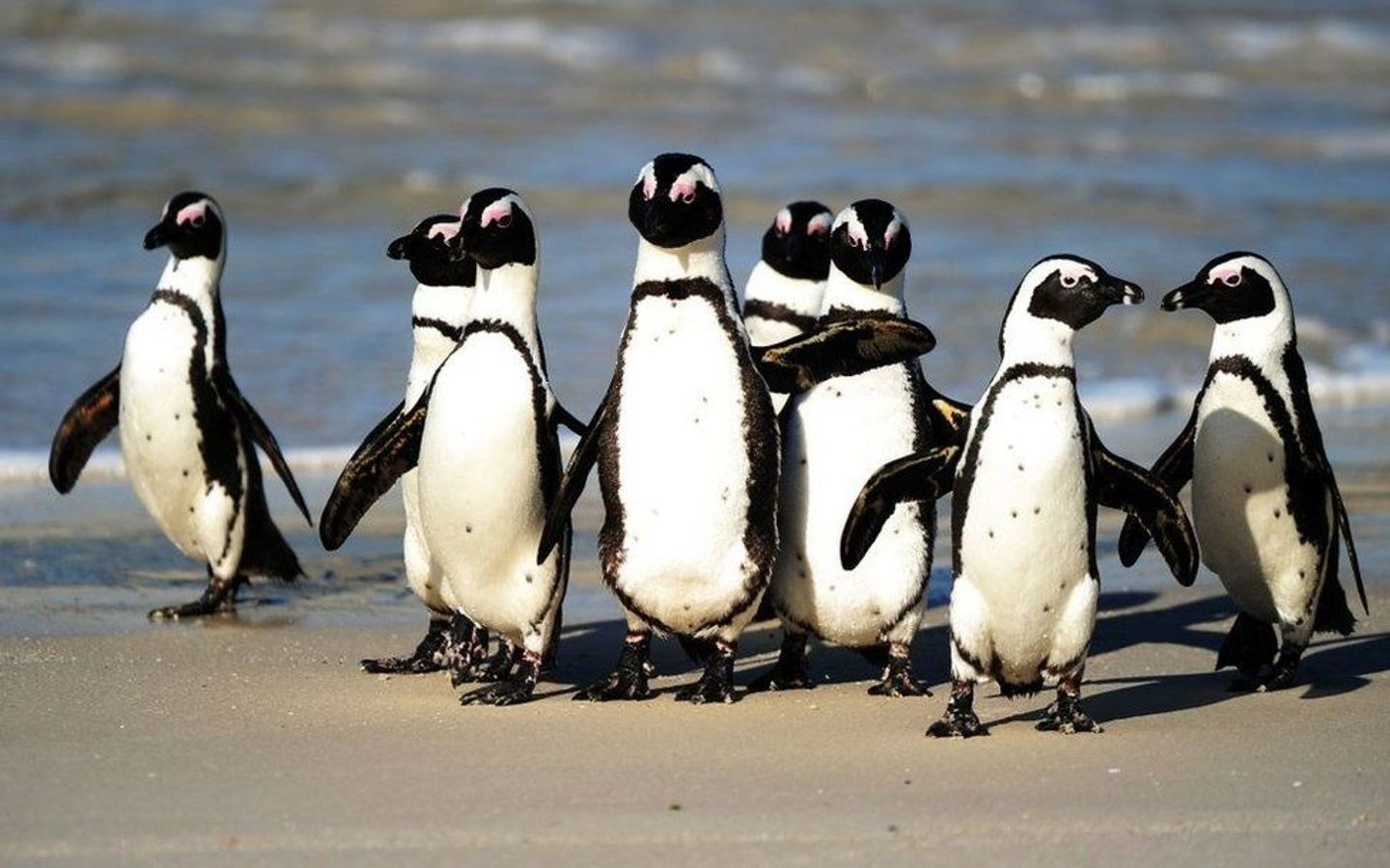Garden Route - December 2022