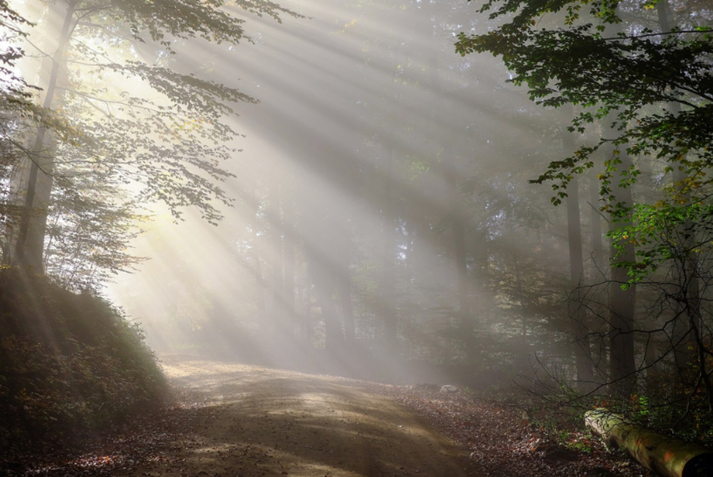 After the Shatter: The Liminal Space Retreat
