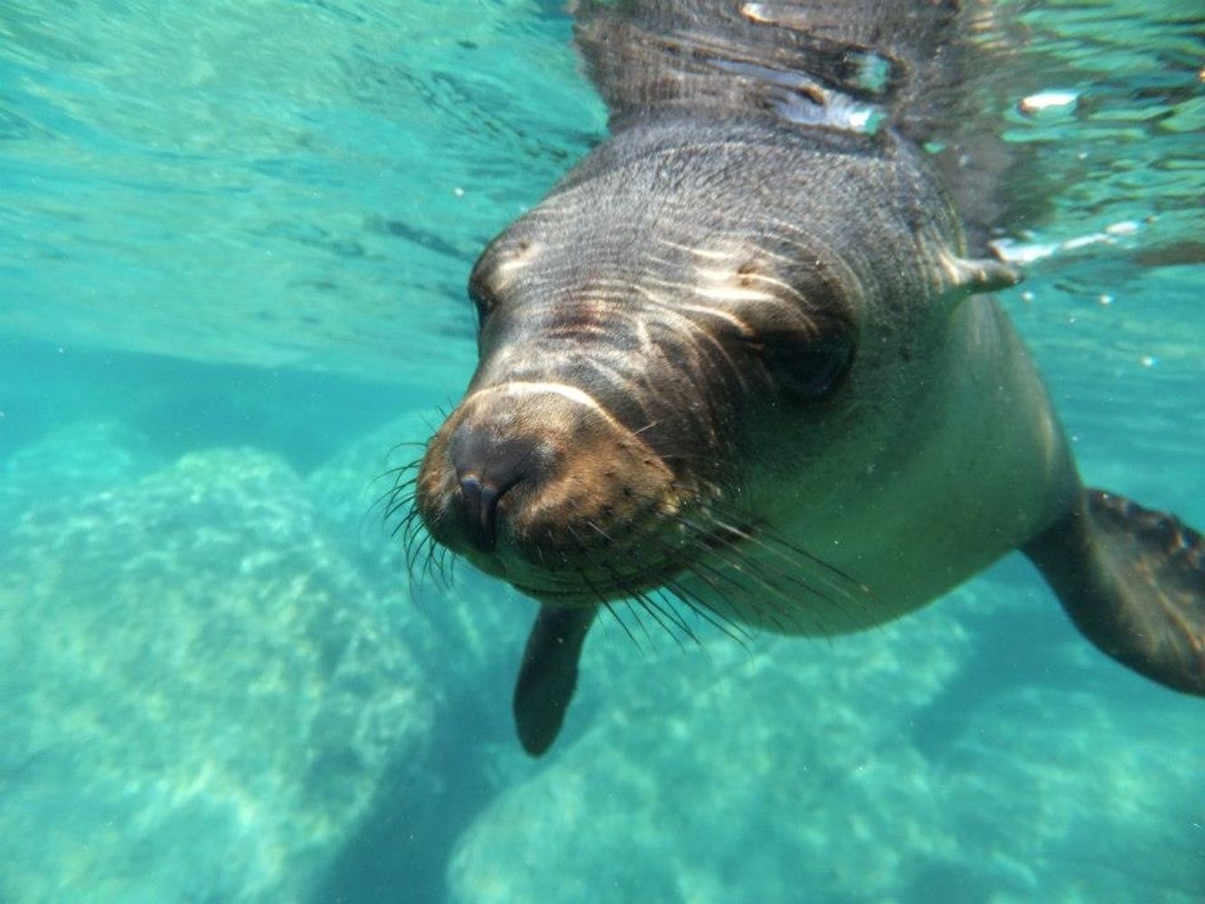 Private Tour - Espiritu Santo Island