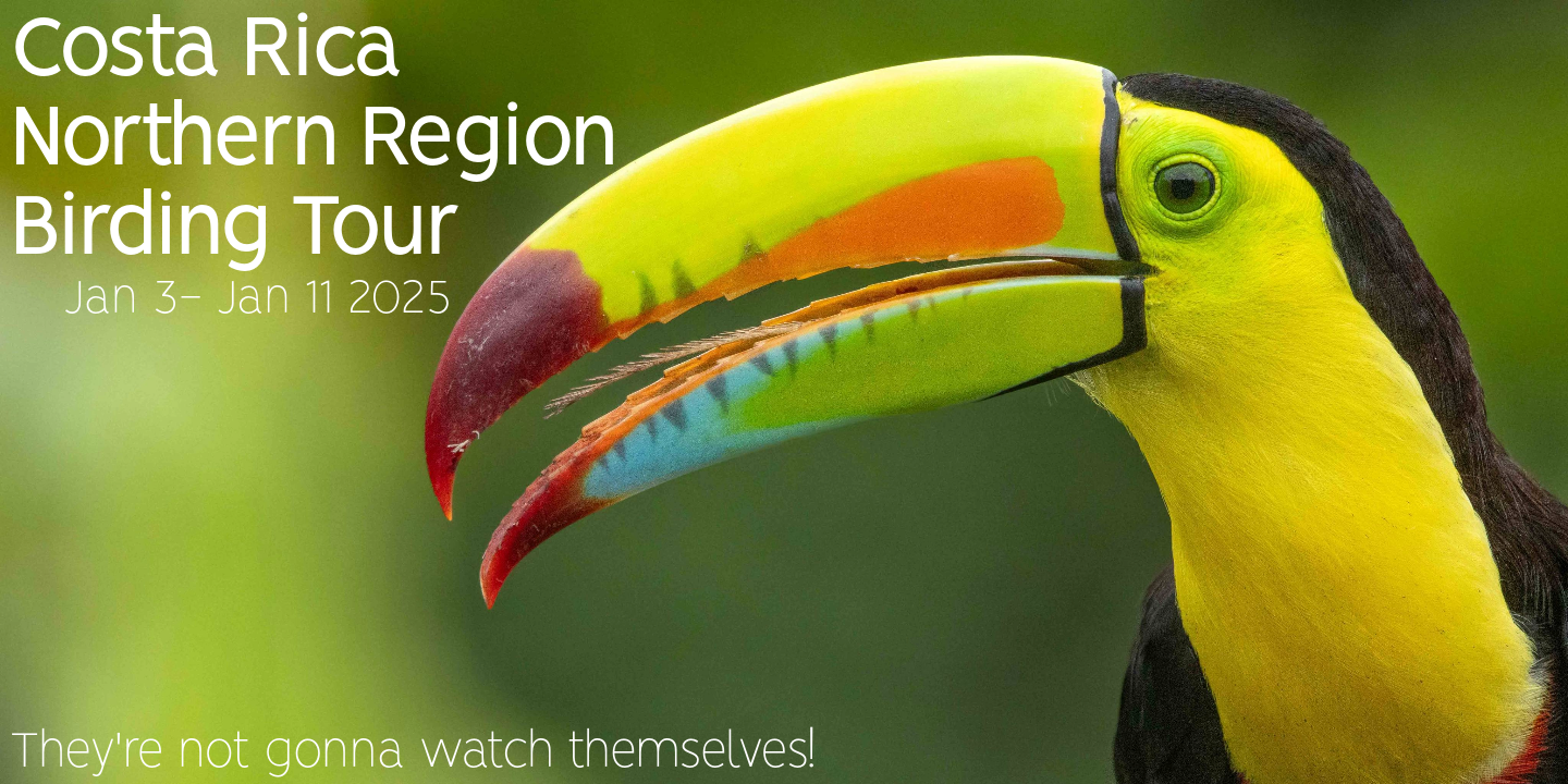 Costa Rica: Northern Region Jan 2025