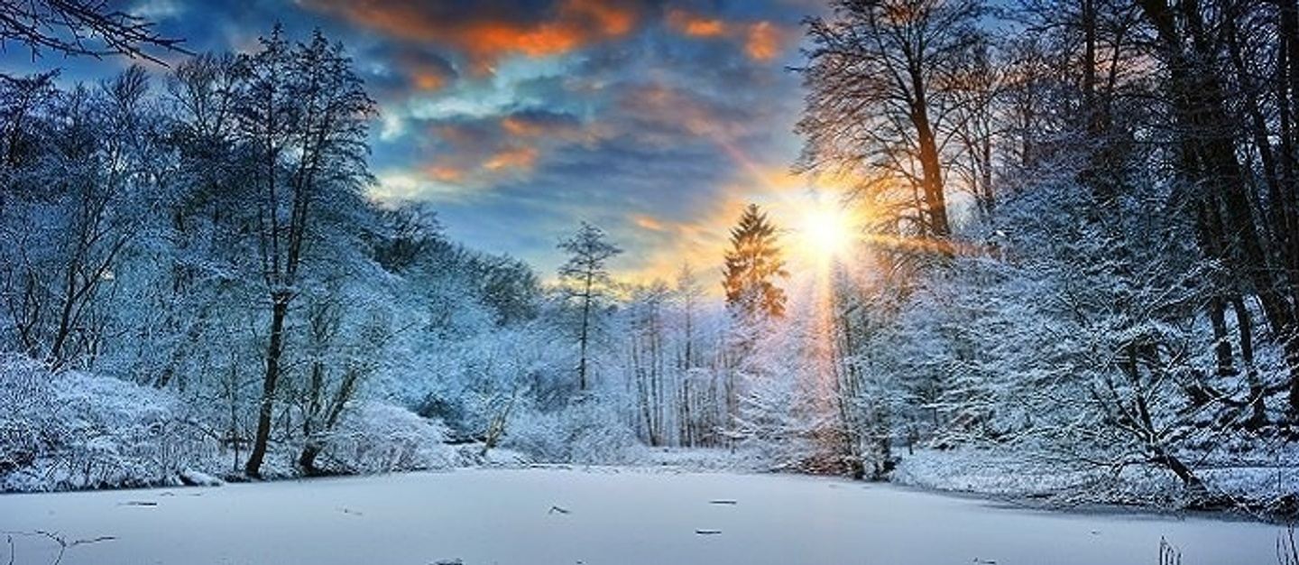 Healing Silent Meditation & Yoga Nature Retreat