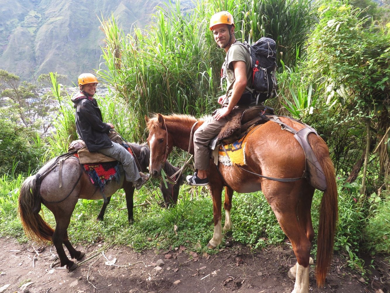 Tour Caballos 2 horas